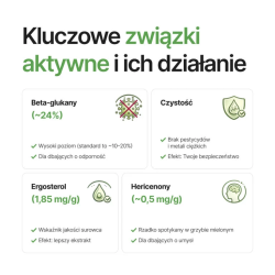 Soplówka Jeżowata (Lion's mane) suszony grzyb w proszku