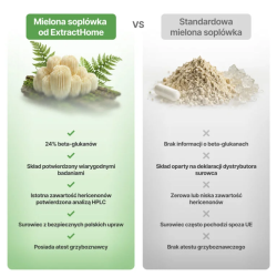 Soplówka Jeżowata (Lion's mane) suszony grzyb w proszku